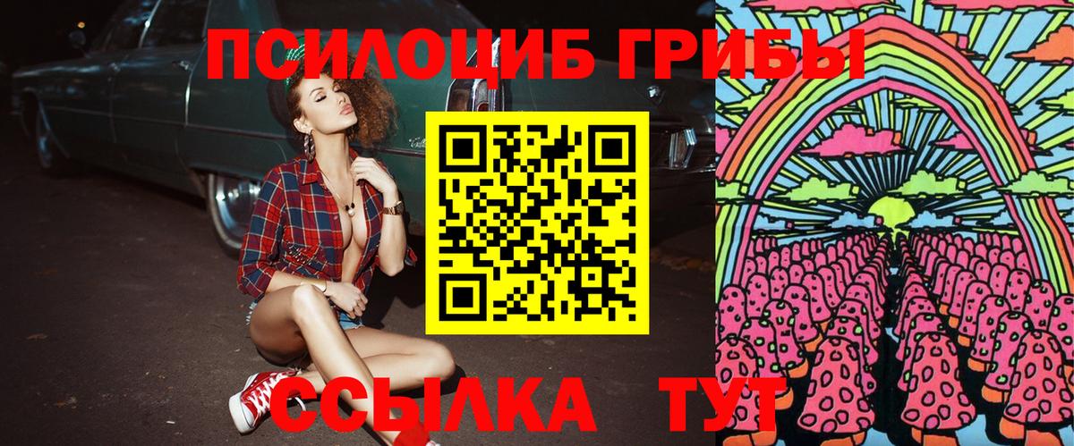 Галлюциногенные грибы MAGIC MUSHROOMS  Вход с VPN  Галлюциногенные грибы мицелий  Истра 